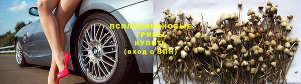Альфа ПВП Абдулино